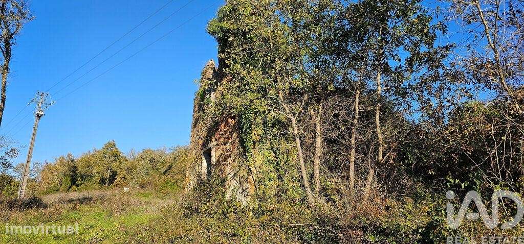 Terreno para construção em São Miguel, Santa Eufémia e Rabaçal de 7007 - Grande imagem: 5/15