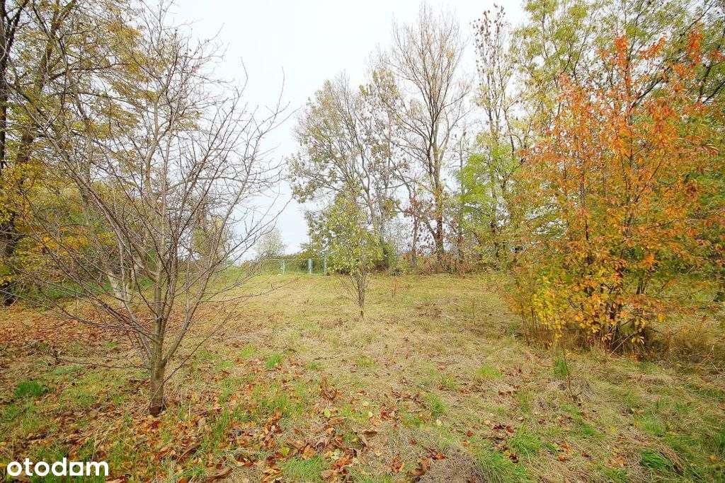 Budynek z obszerną działką z potencjałem-8