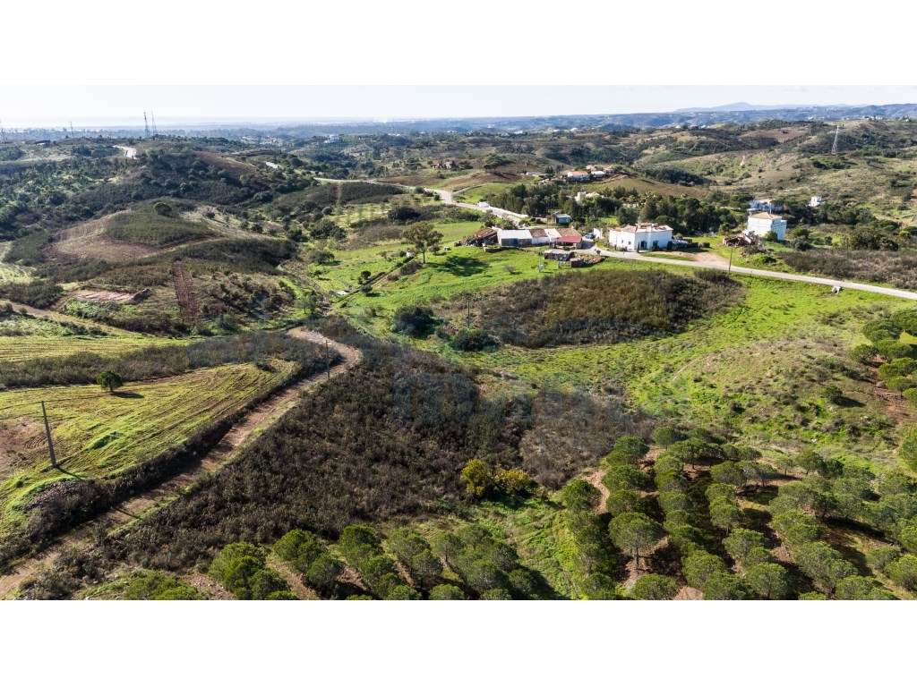 Terreno Misto com Possibilidade de Construir Moradia - Grande imagem: 4/8