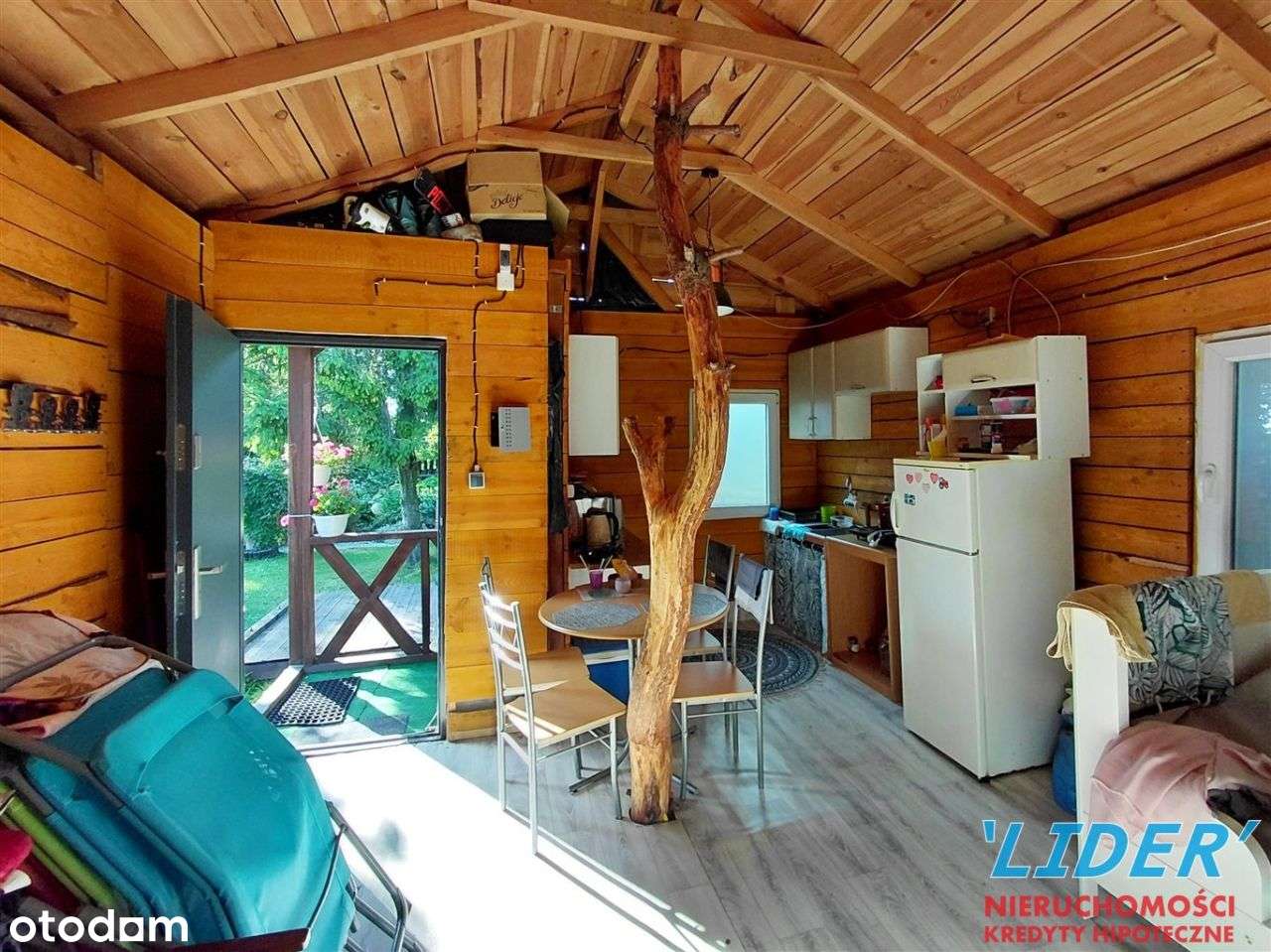 Ogródek działkowy na Rod Konwalia! - Pełny obrazek: 5/14