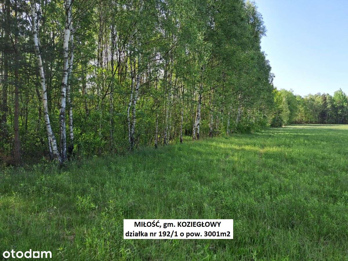 Miłość działka dla ukochanej :-) 3001m2 cena tylko 29.900zł-18