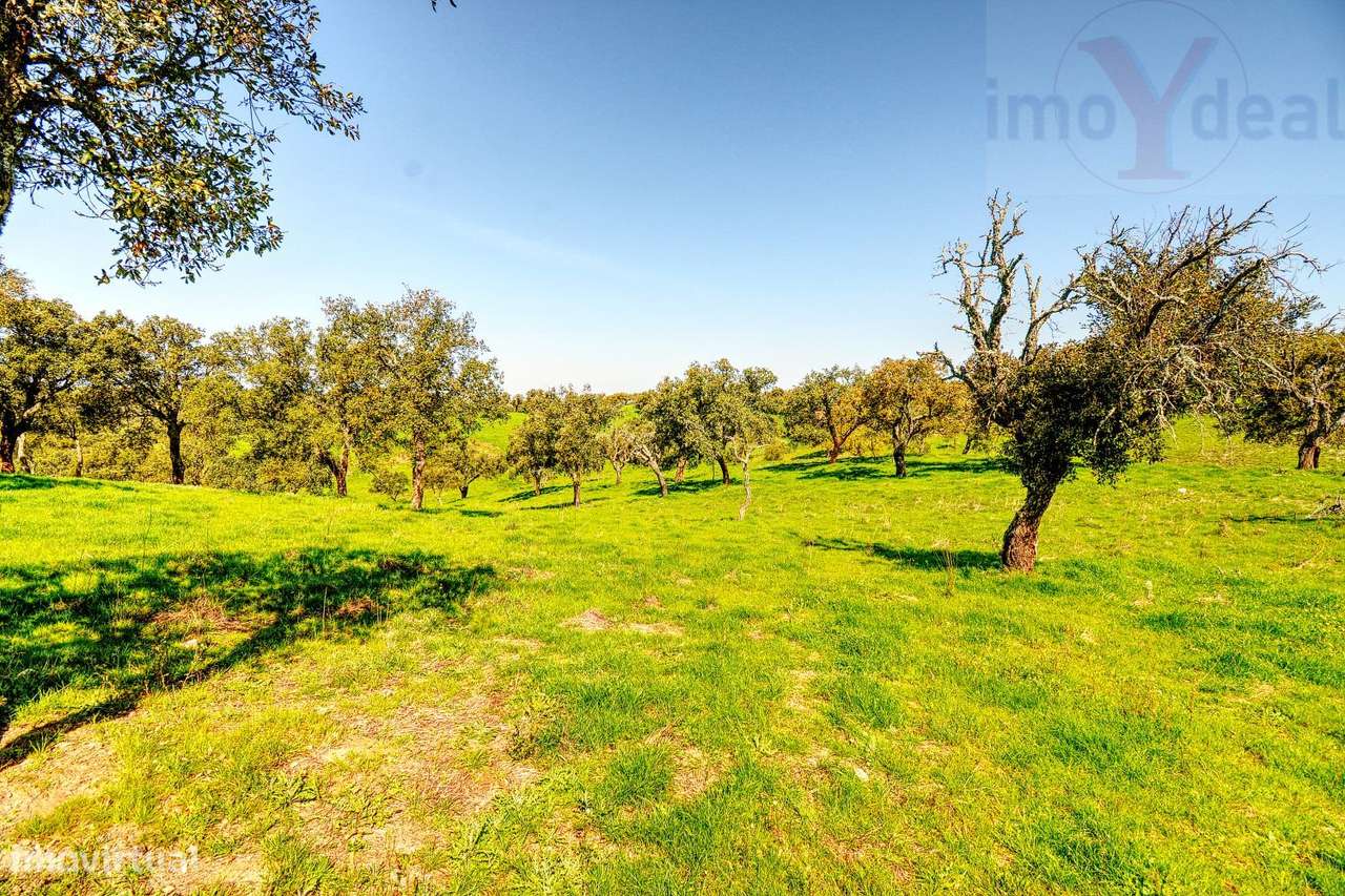 TERRENO EM S.BARTOLOMEU DA SERRA-32