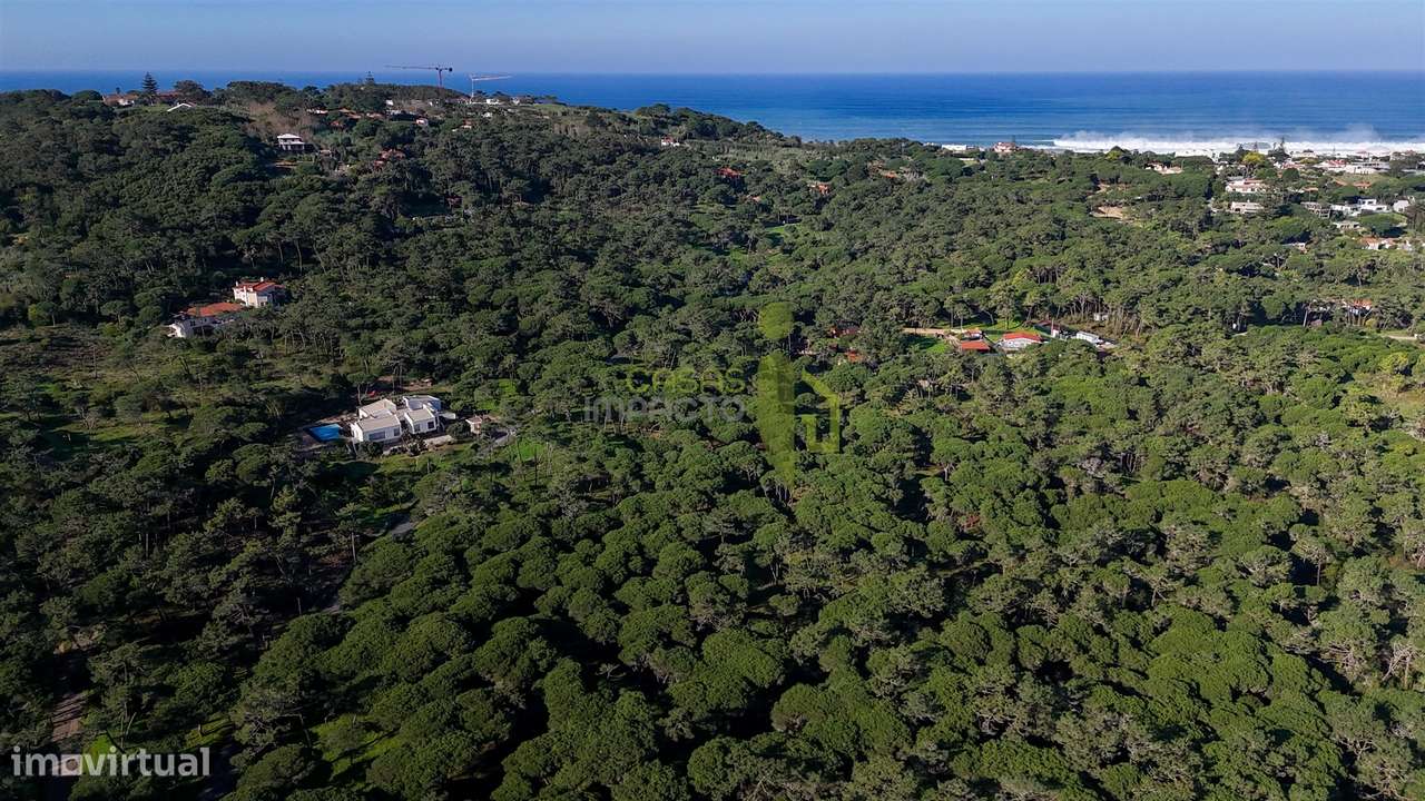 Terreno Rústico com 4.600 m2 em Areais, Almoçageme - Colares - Grande imagem: 5/14