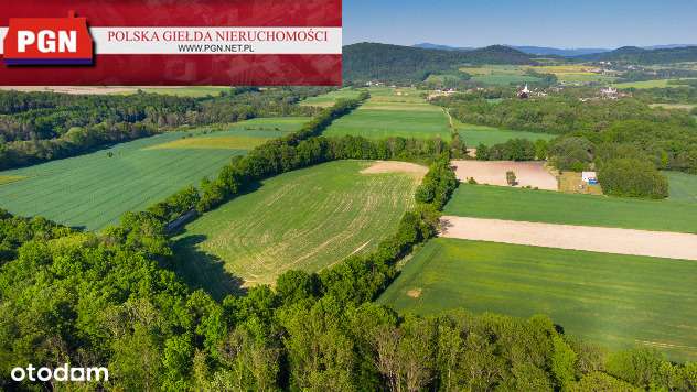 OKazja, działki budowlane - 3,26 ha (21 dzialek) - Pełny obrazek: 4/7