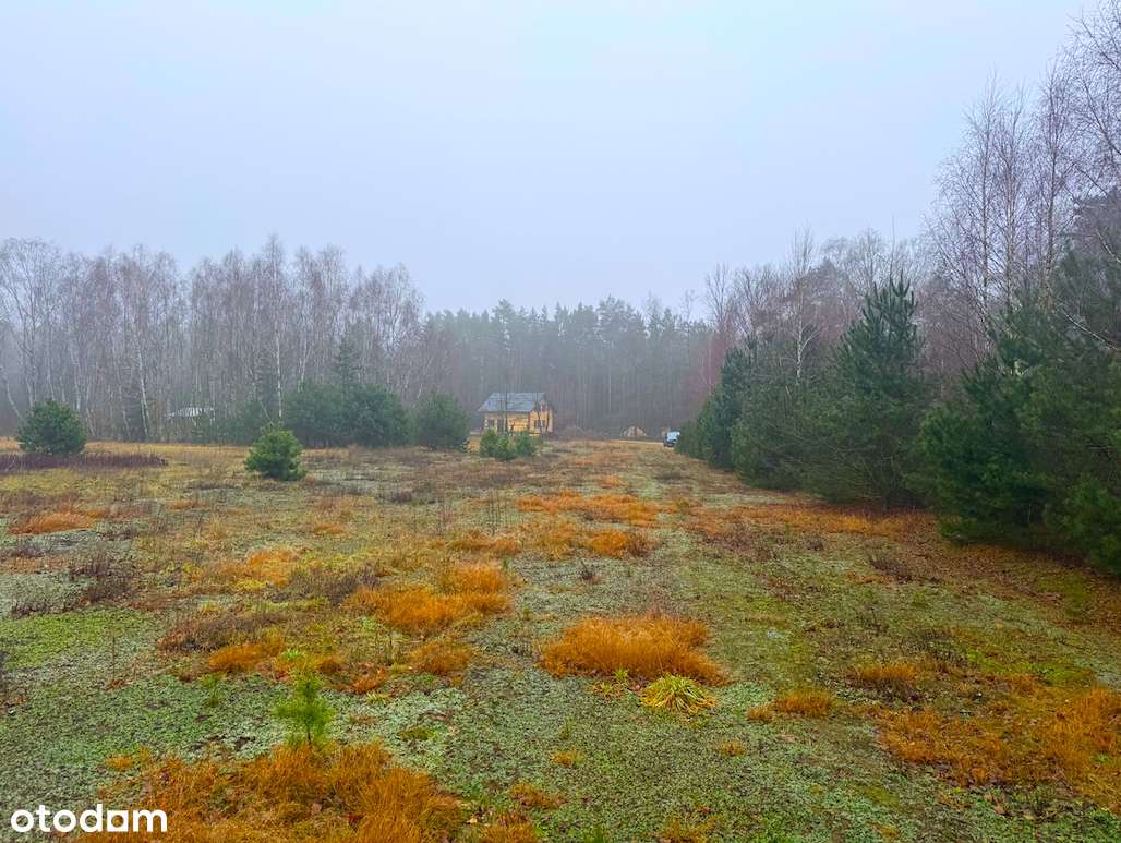 Bezpośrednio. Duża działka z Warunkami Zabudowy.-6
