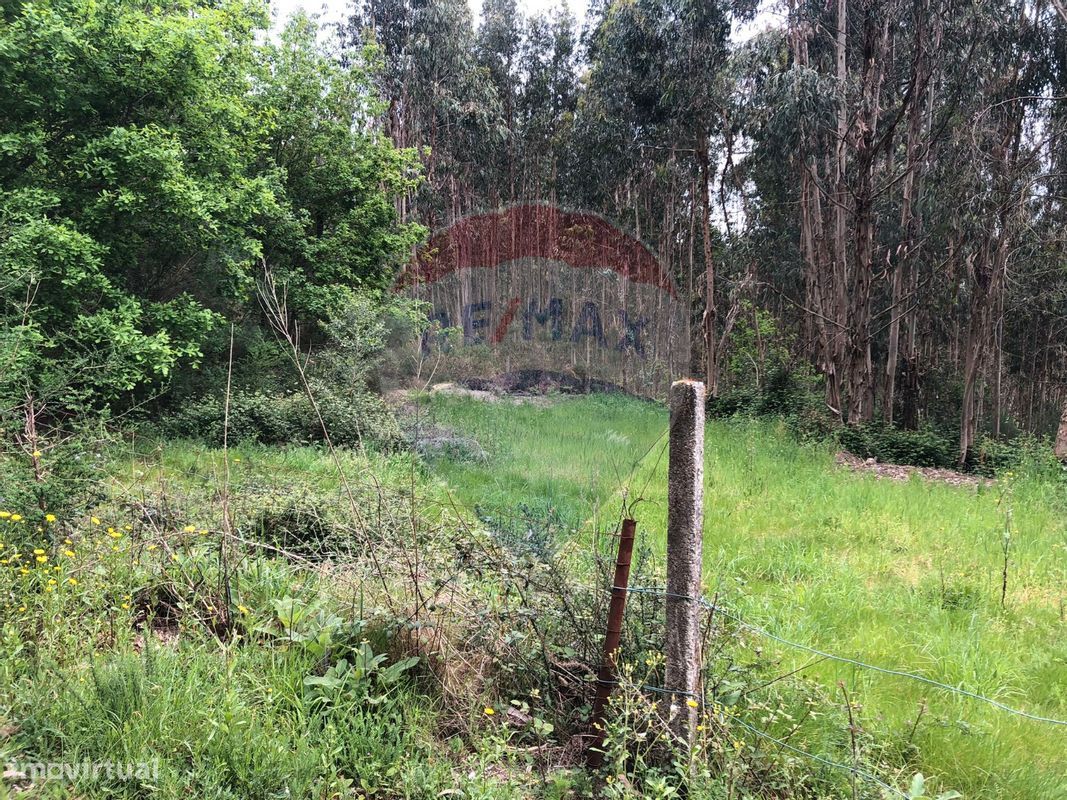 Terreno  para venda - Grande imagem: 1/3