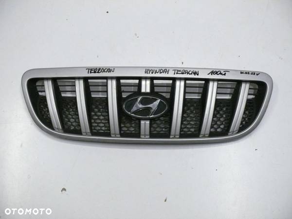 ATRAPA GRILL HYUNDAI TERRACAN - 1