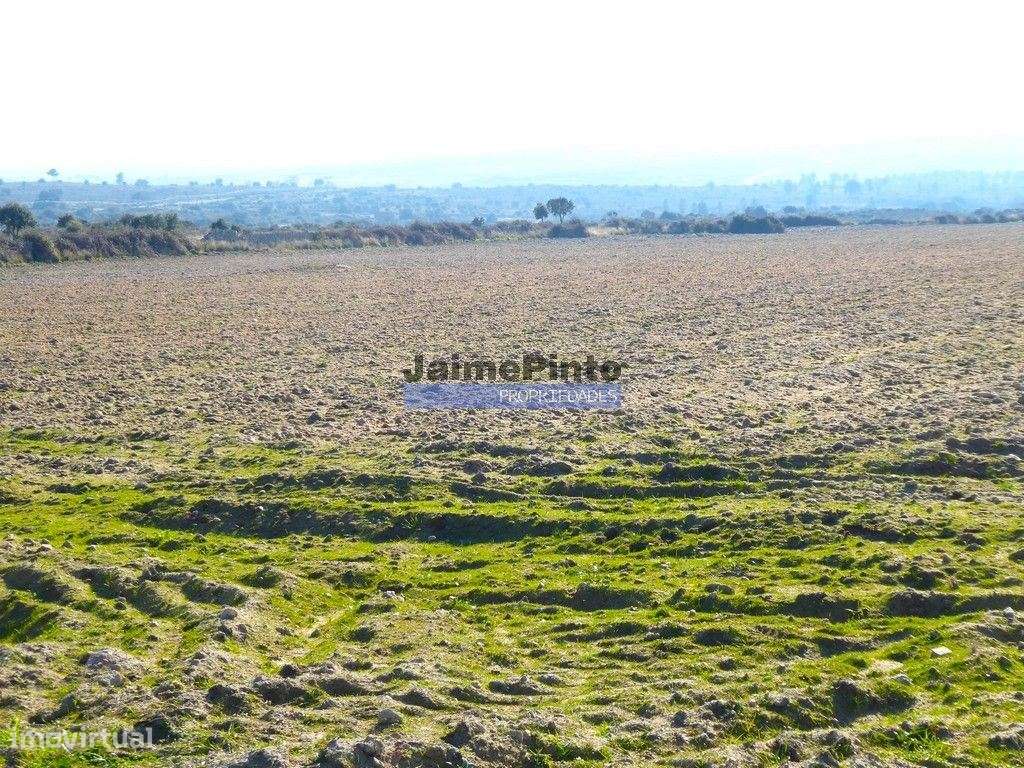 10,9ha de terra plana para plantações. Portugal, F. C. Rodrigo, Bar... - Grande imagem: 5/6
