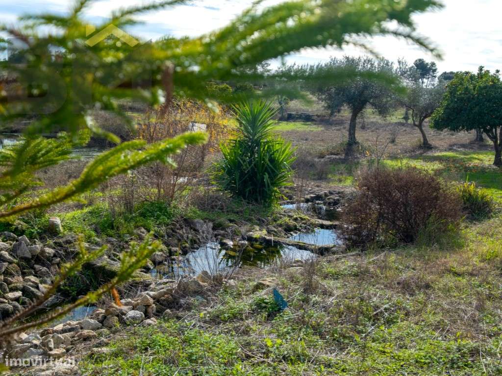 Quinta das Fontainhas - Propriedade Única em Lardosa-40