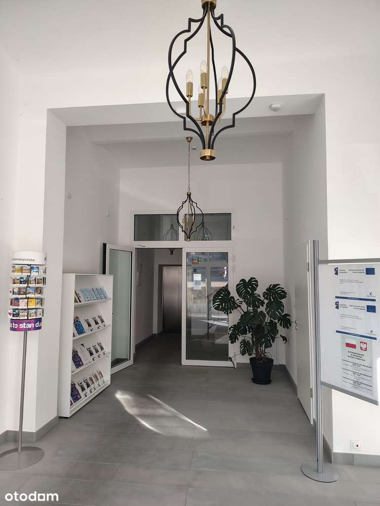 BIURO PRESTIŻOWA LOKALIZACJIA Z WINDĄ W KAMIENICY ZE SŁYNNYM MURALEM - Pełny obrazek: 3/8