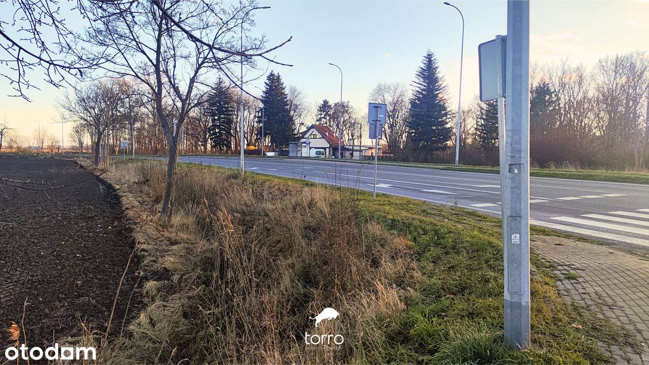 Idealna Działka pod Budowę dużego Domu – *20min od Centrum Gdańska*-10