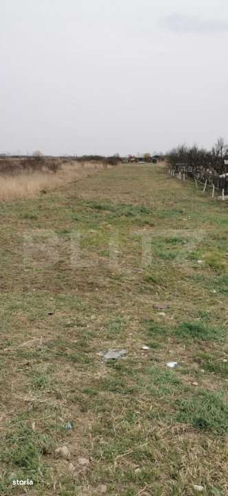 Teren de vanzare, 2450mp, zona Gorunului - Imagine principală: 5/5