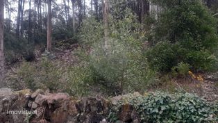 Terreno  para venda - Grande imagem: 3/8