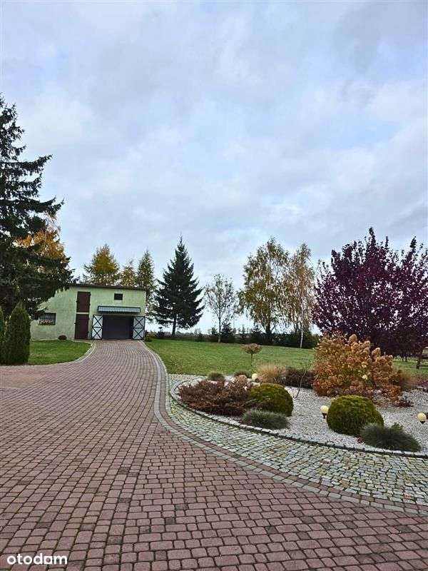 Dom wolnostojący - Stary Targ-0