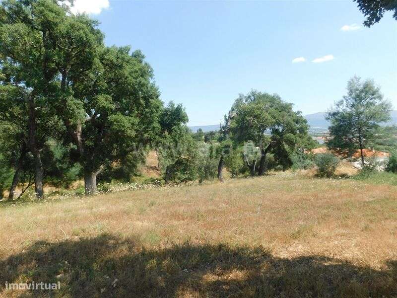 Terreno / Covilhã, Vales do Rio - Grande imagem: 4/16