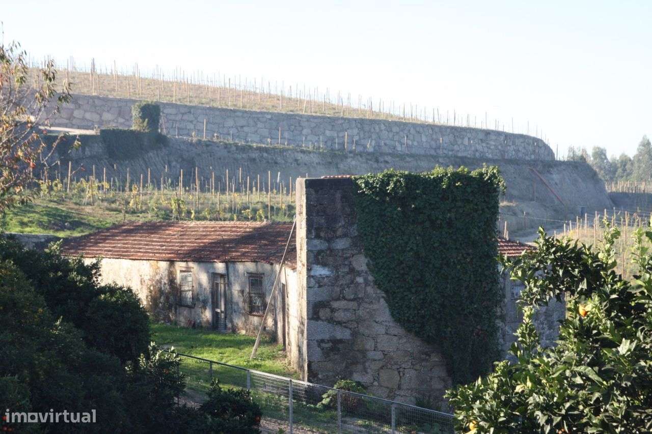 Fantástica Quinta Santo Tirso - Grande imagem: 3/20