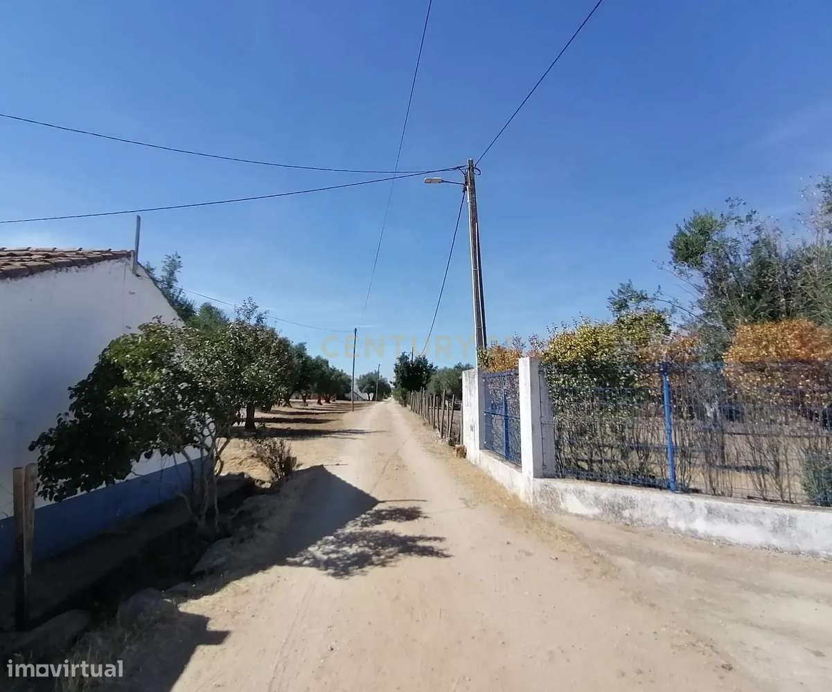 Moradia, 9 750 m², São Miguel de Machede - Grande imagem: 4/20