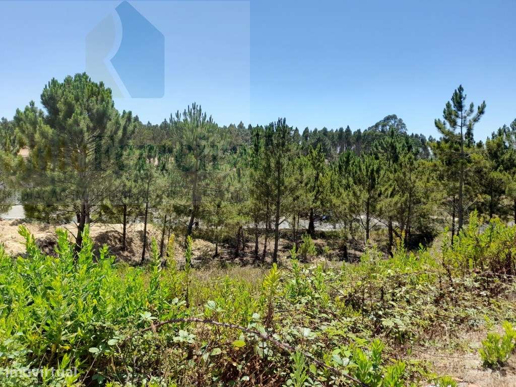 Excelente lote de terreno urbano para construção - Urbanização Port... - Grande imagem: 4/7