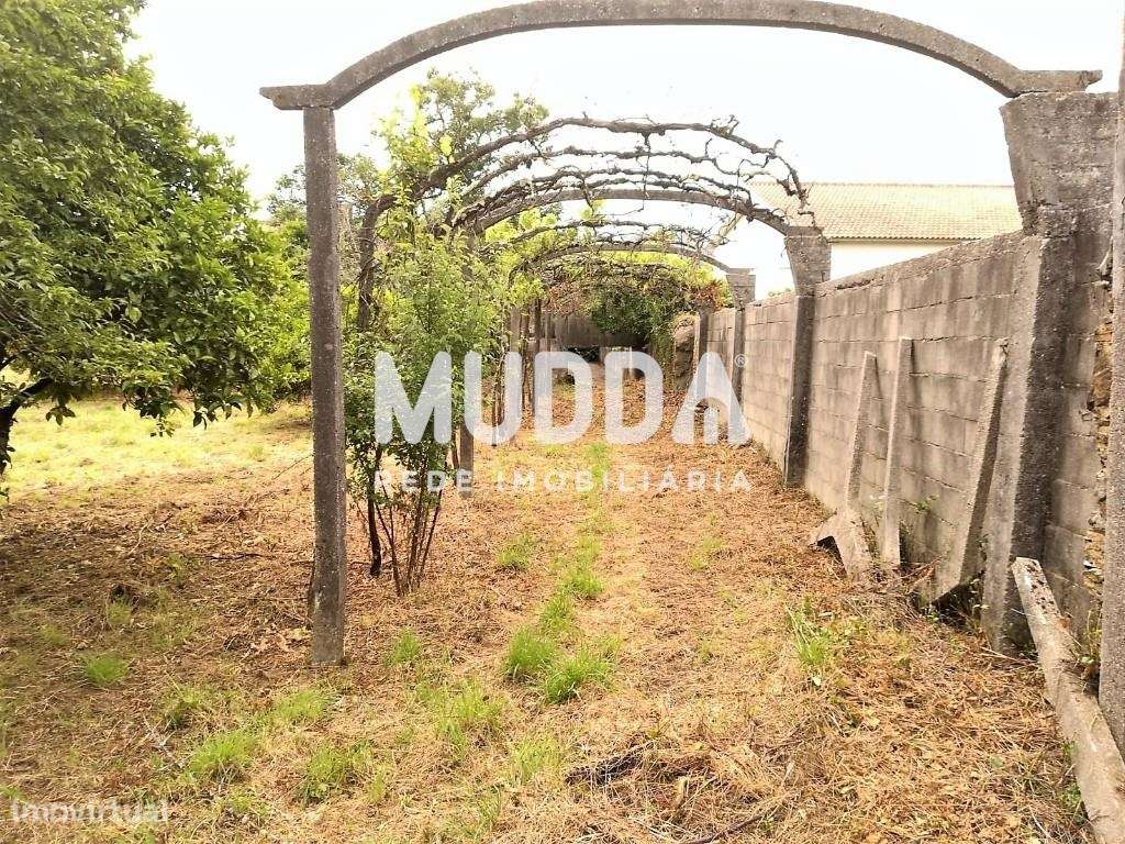 Venda de Terreno para construção, Albergaria-a-Velha, Aveiro - Grande imagem: 5/7