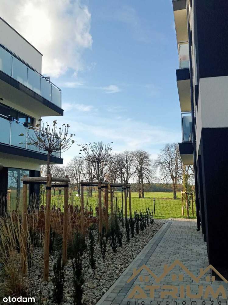 lokal handlowo usługowy 5pokoi Szczytniki 172m2 - Pełny obrazek: 3/11