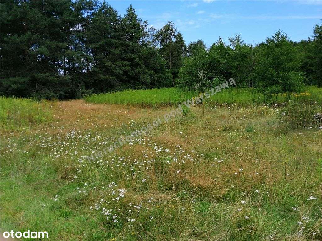 Działka Budowlana Z Bardzo Dobrą Komunikacją - Pełny obrazek: 5/13