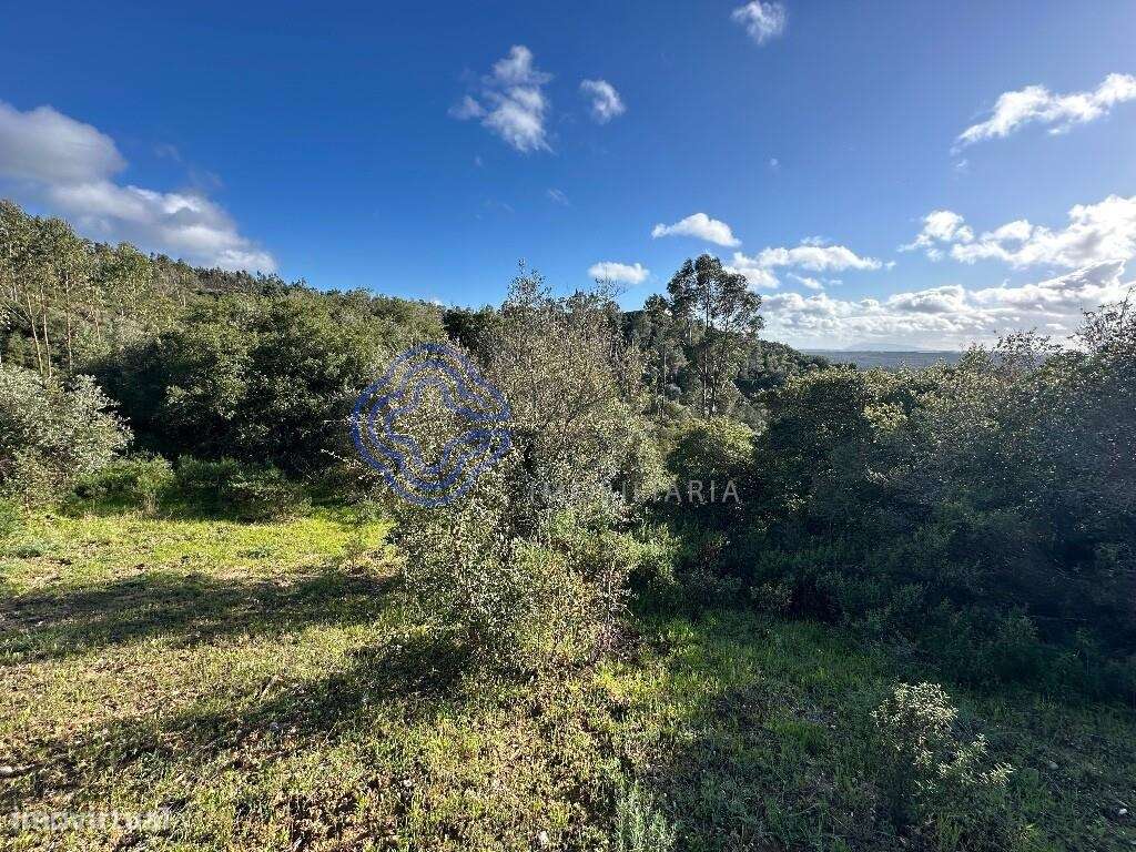 Terreno Rústico Panorâmico - Grande imagem: 4/15