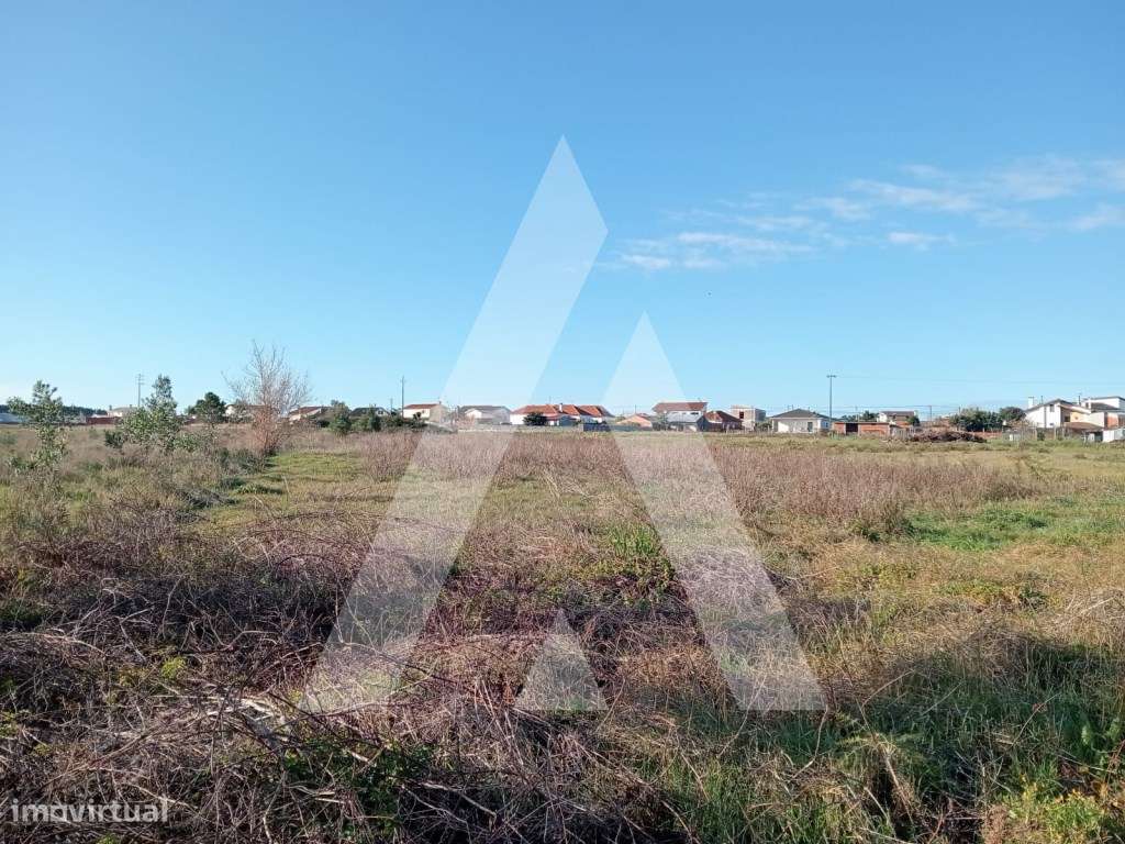 Terreno em Calvão - Vagos - Grande imagem: 5/14