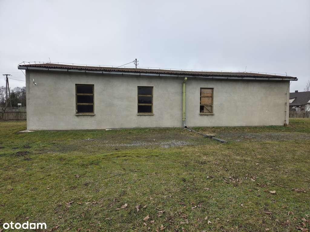 Tartak / hala przy DK486 – świetna lokalizacja!-3