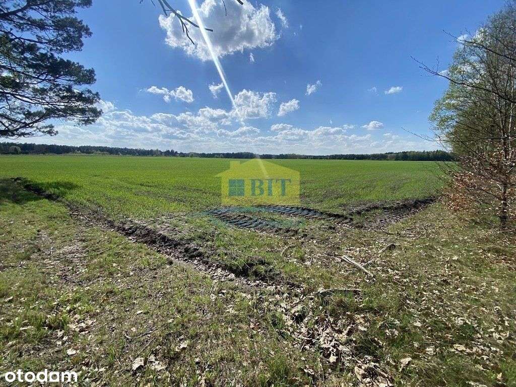 Działki 3 000 m2, Wygon nad Jeziorem Piaseczno, Wz - Pełny obrazek: 4/19