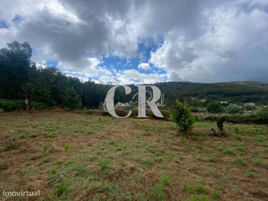 Casa em pedra para reabilitar - Grande imagem: 5/56