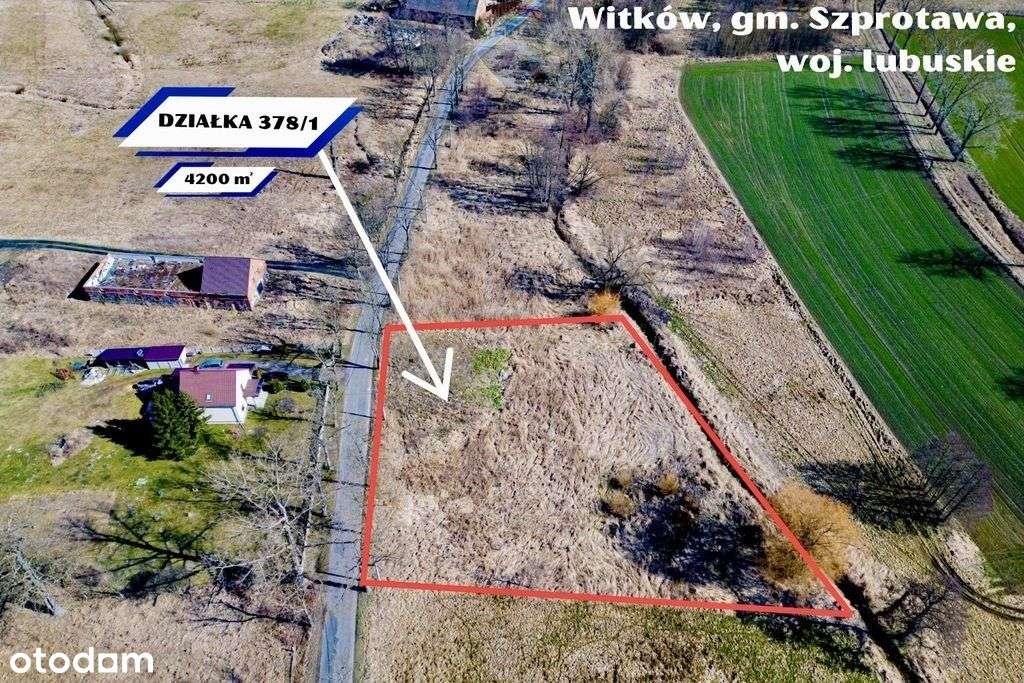 Na sprzedaż działka budowlana 4200 m² - Pełny obrazek: 4/19