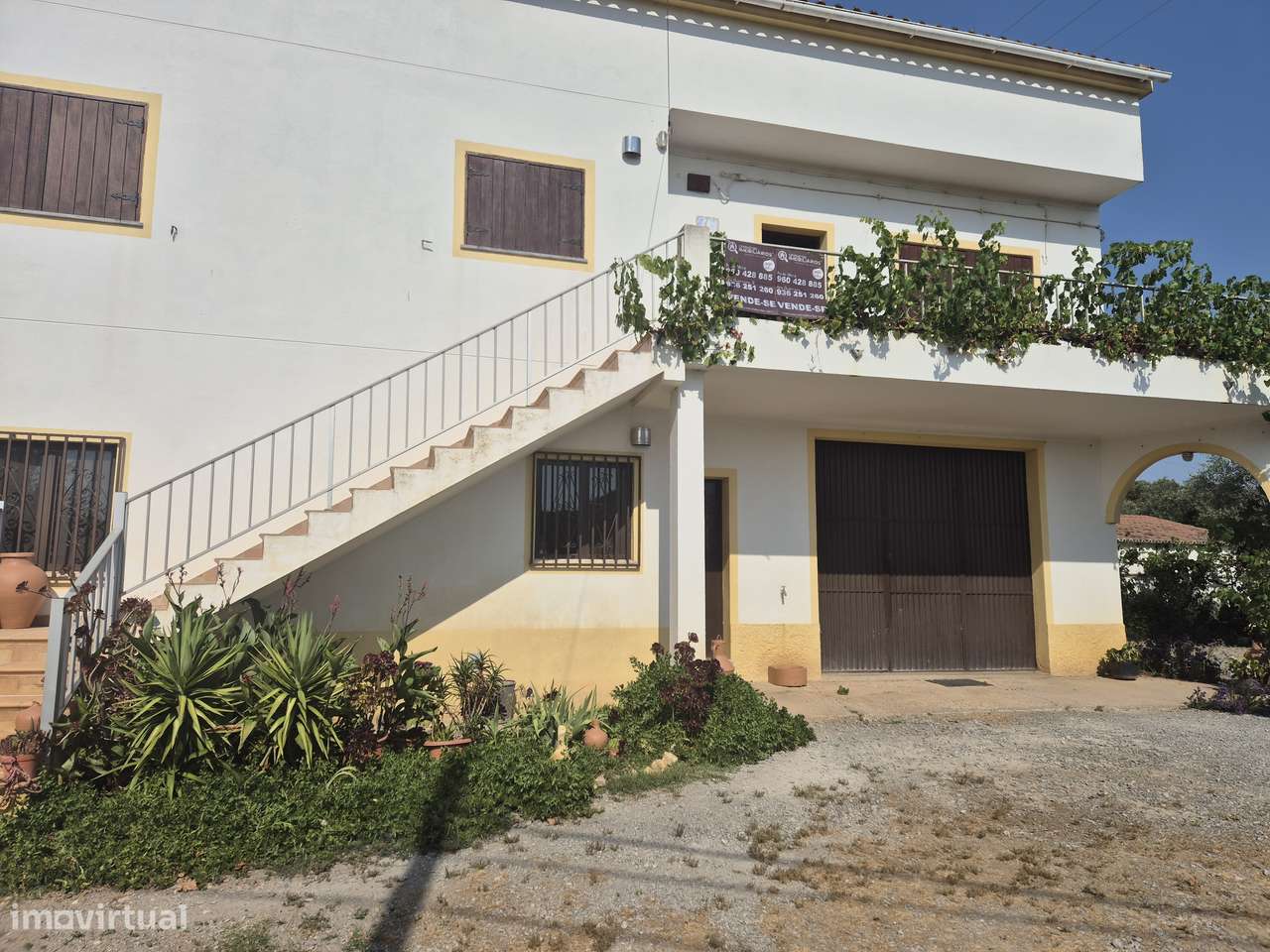 Quinta V5 com 15.000 m2 em Ourique-13