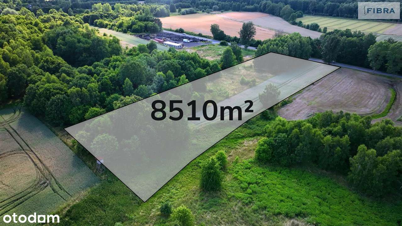 Nowa cena, teraz mniej o 90 tys. - Pełny obrazek: 4/14