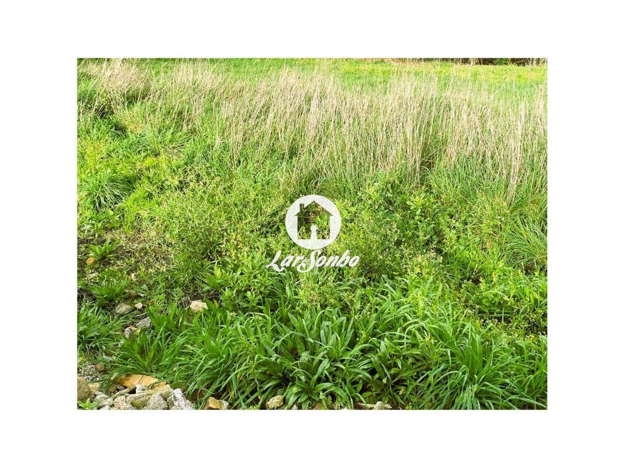 Terreno para construção em Barcelos - Grande imagem: 5/22