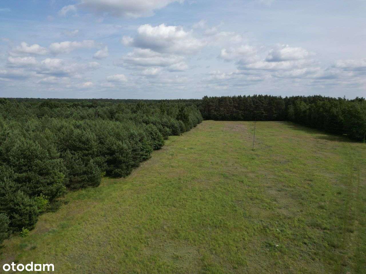 Działka budowlana 1,7ha gm. Serock, Stanisławowo. - Pełny obrazek: 5/14