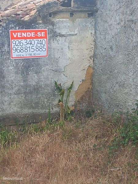 Ótimo Terreno em Cabeça Alta Montemor o velho  com 3.198,80m2 - Grande imagem: 5/8