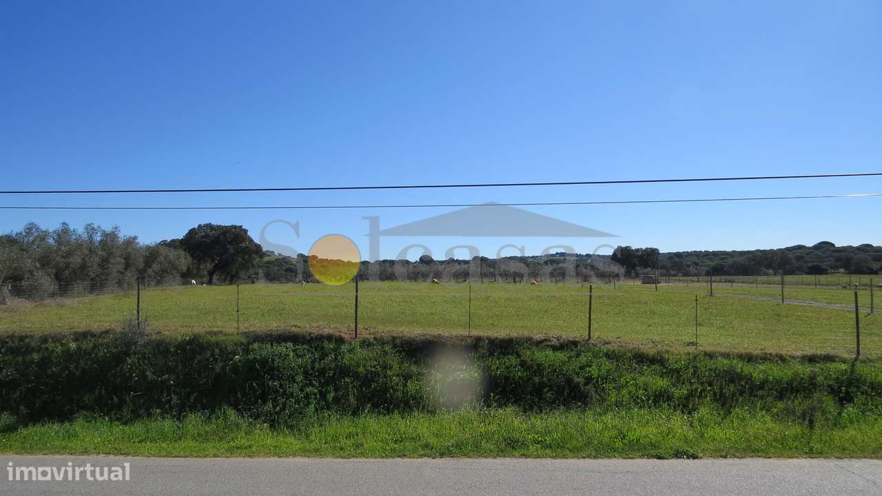 Quinta perto de Alcácer do Sal-14