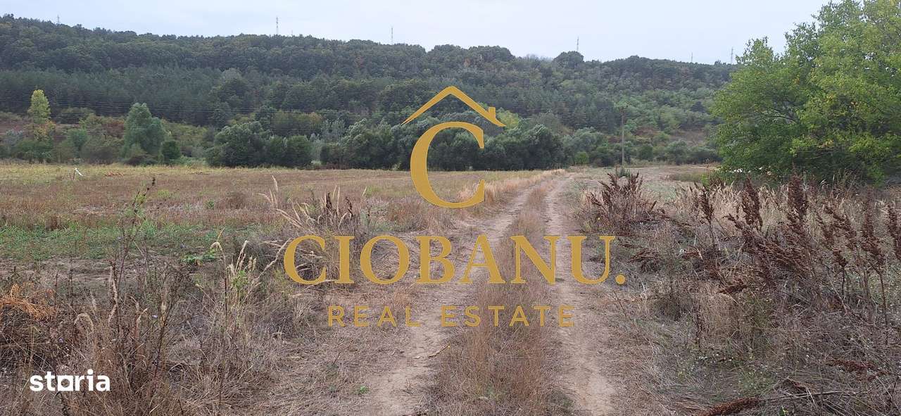 Teren Intravilan/Extravilan de vanzare in Bradestii Batrani-1