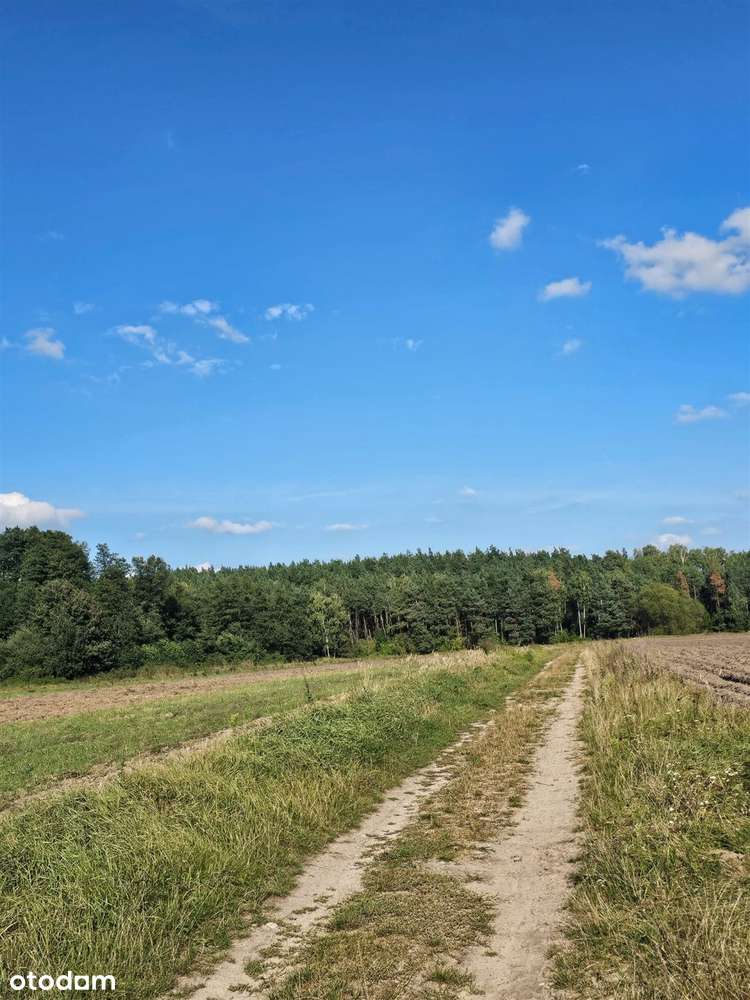 Działka na sprzedaż, Świecie (gm) - Pełny obrazek: 4/10