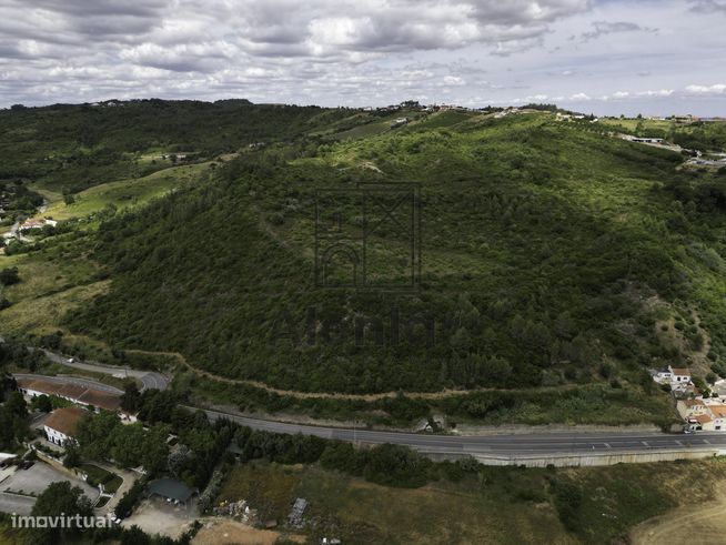 TERRENO MISTO COM 48Ha EM ALENQUER!-9