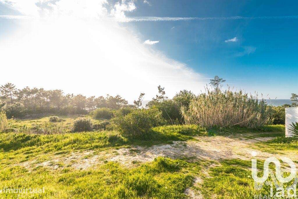Terreno Agrícola em Nazaré - Grande imagem: 5/7