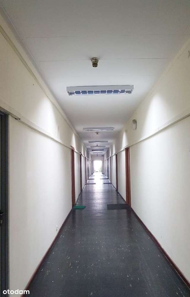 Biuro, Lokal użytkowy na cichą działalność - Pełny obrazek: 4/8