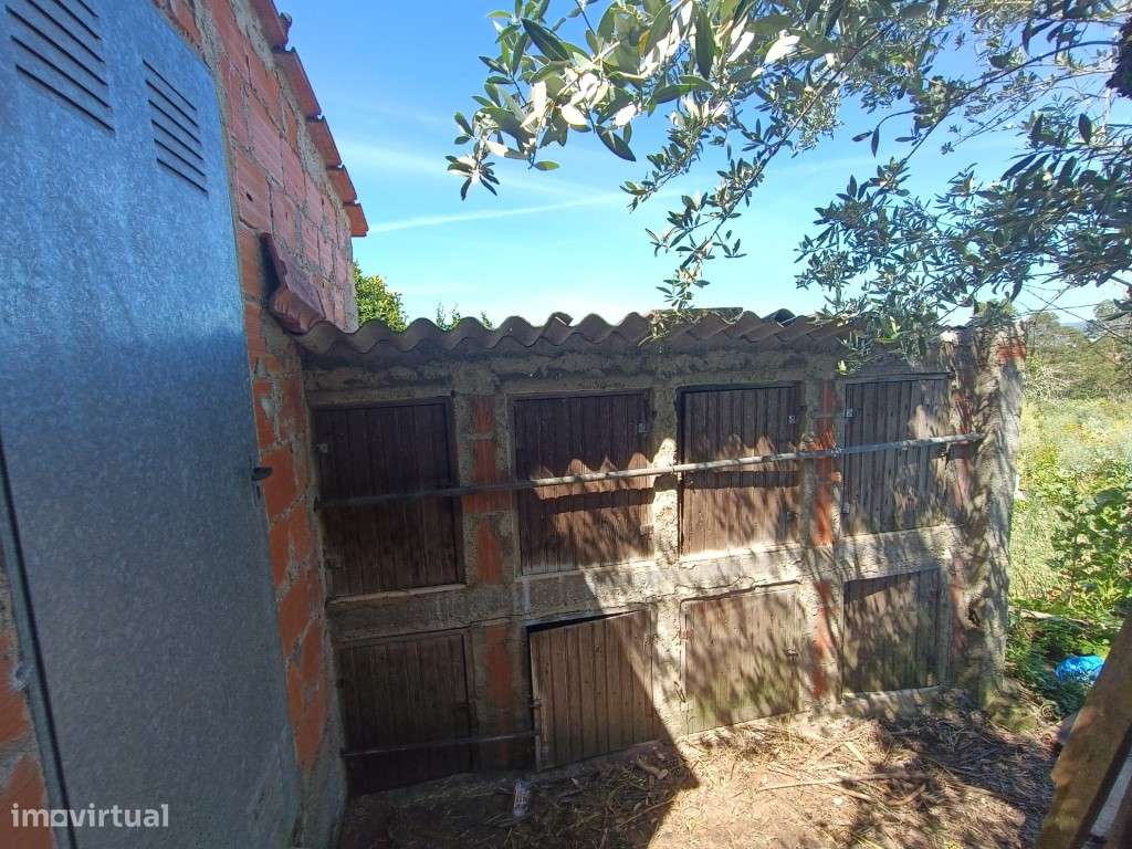 Moradia para recuperar com vista para Albufeira de Castelo de Bode - Grande imagem: 5/16