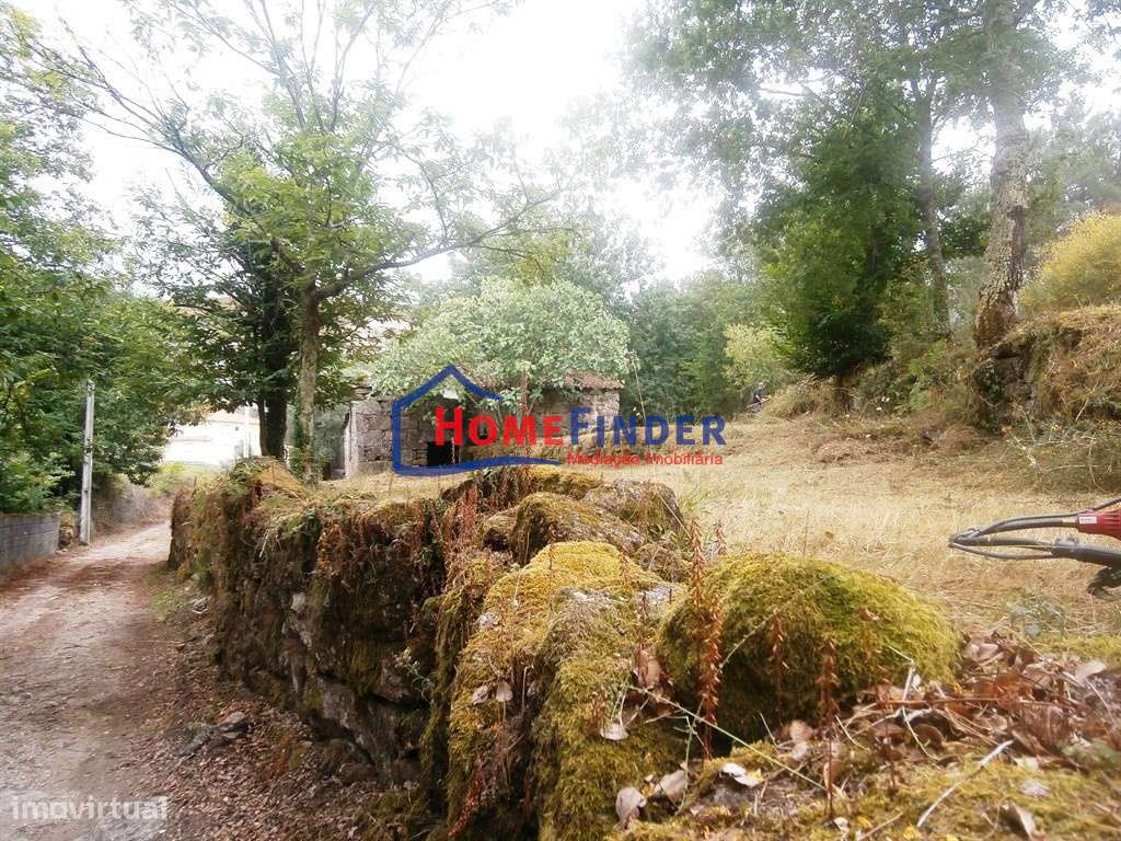 Moradia para Recuperar com Amplo Terreno e Potencial Infinito em Frian-11