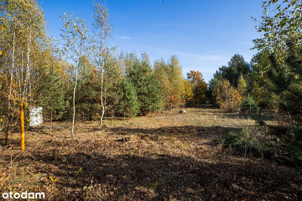 Działka budowlana w otulinie drzew/Żabia Wola/ 35 min do Warszawy-10