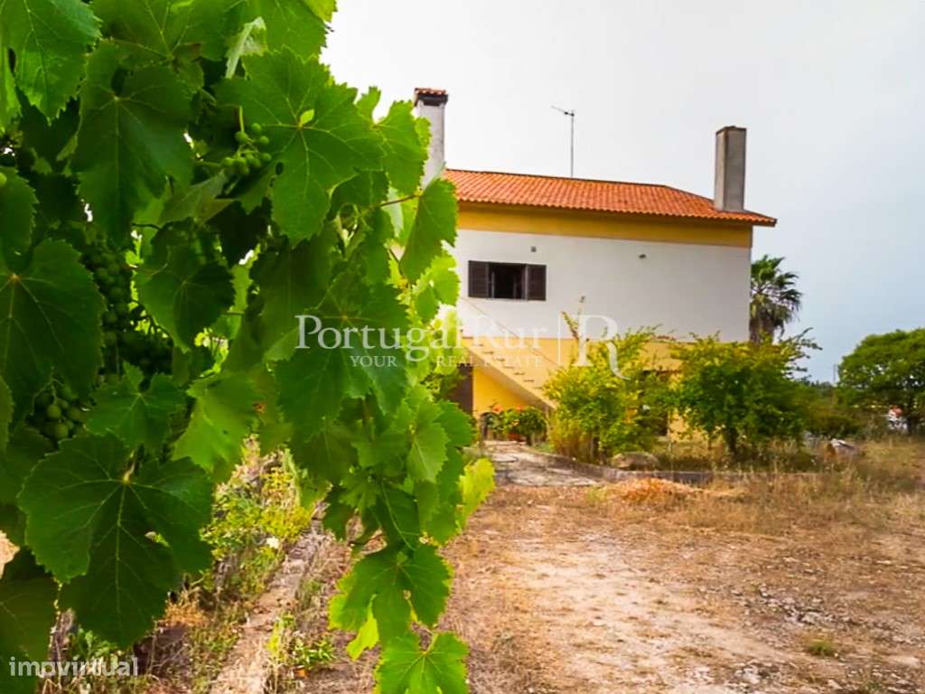 Encantadora Quinta em Alcanena com Moradia e Potencial Agrícola - Grande imagem: 4/29