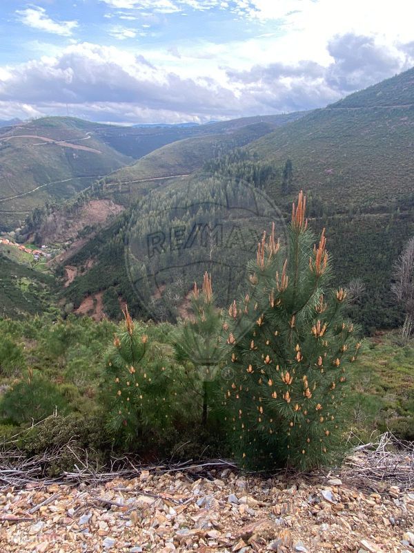 Terreno  para venda - Grande imagem: 1/5