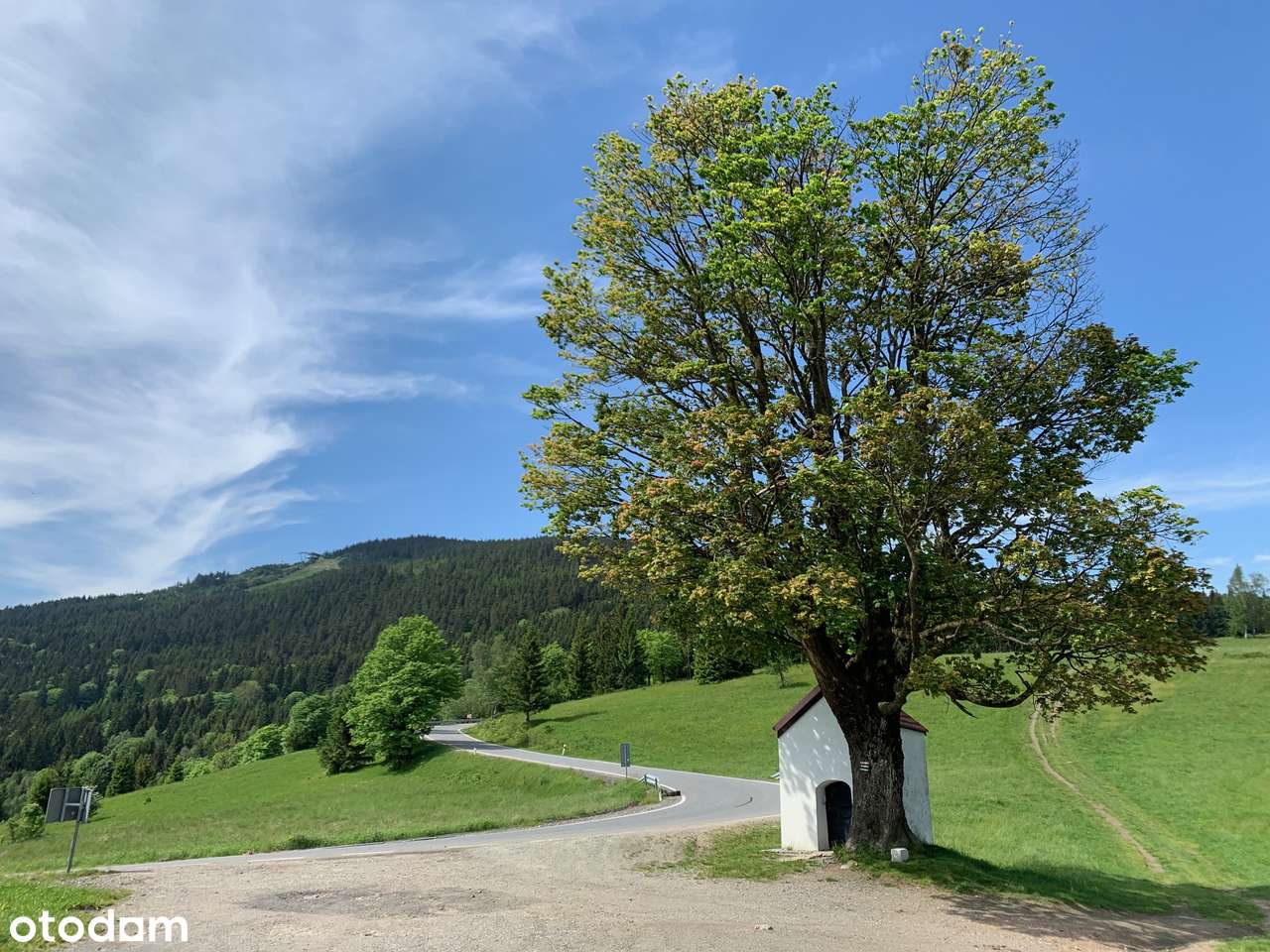 Widokowe działki budowlane w masywie Śnieżnika-narty i MTB Czarna Góra - Pełny obrazek: 5/13
