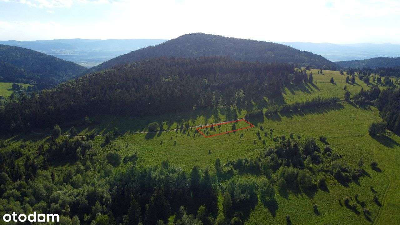 Najwyżej położona działka w Kotlinie Kłodzkiej - Pełny obrazek: 5/15