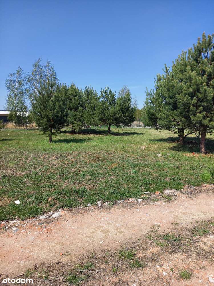 Sprzedam działkę budowlaną 1000m-Wyględy k.Leszna-11